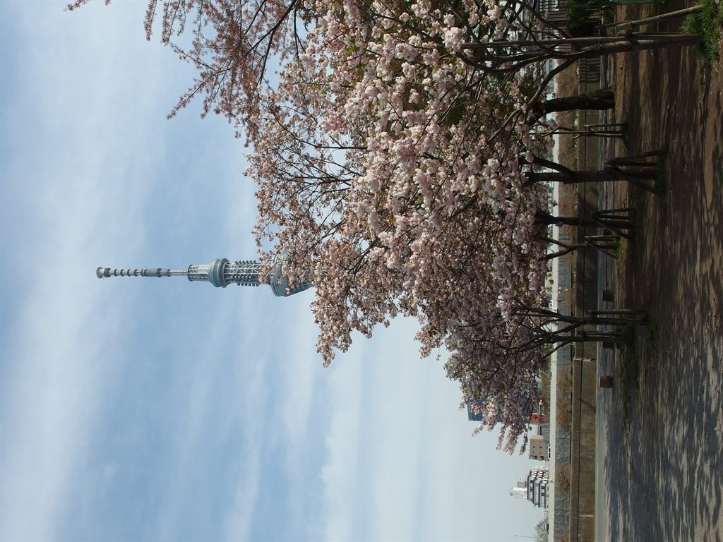 隅田公園